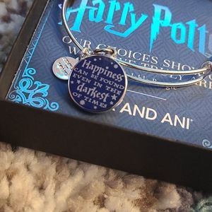 Harry Potter Alex and ani bracelet